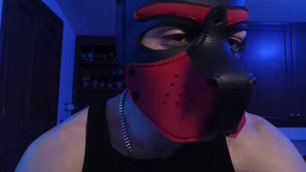 Frabroker 11-02-2025 Recorded Video jerking