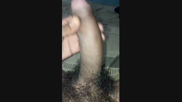 Negocavalo 12-02-2025 Recorded Video lick