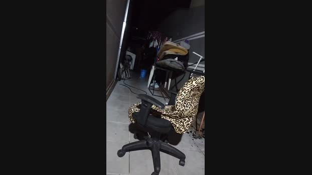 Walinh_o 12-02-2025 Recorded Video suckcock