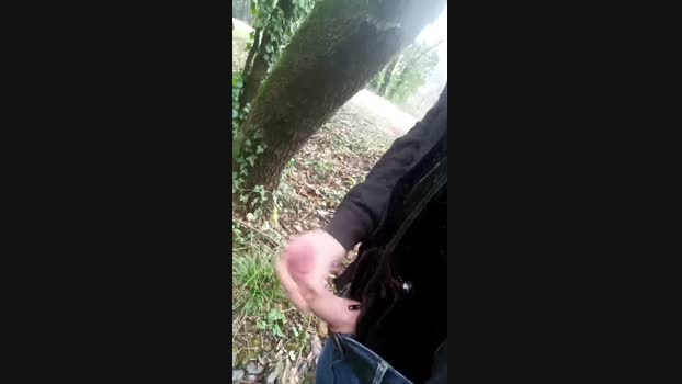 jef34 12-02-2025 Recorded Video bigload