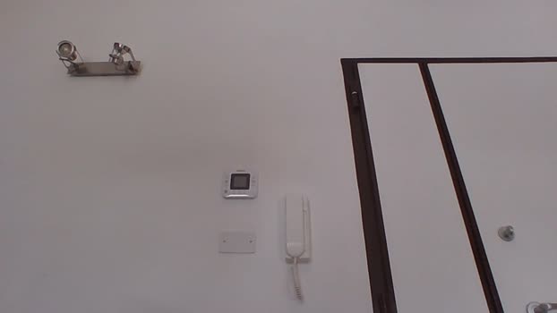 lubalubaluba 12-02-2025 Recorded Video kink