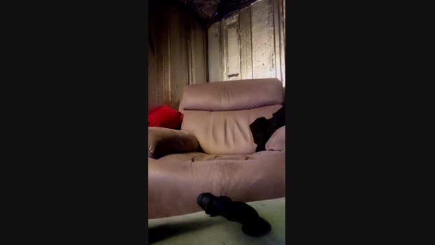 Chavbear 12-02-2025 Recorded Video blowjob