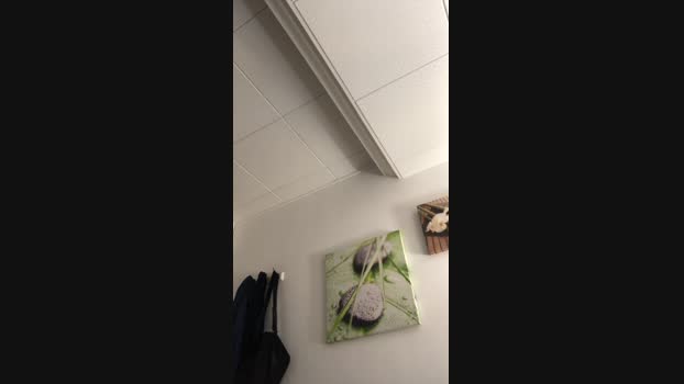Jojolarico 13-02-2025 Recorded Video Recorded