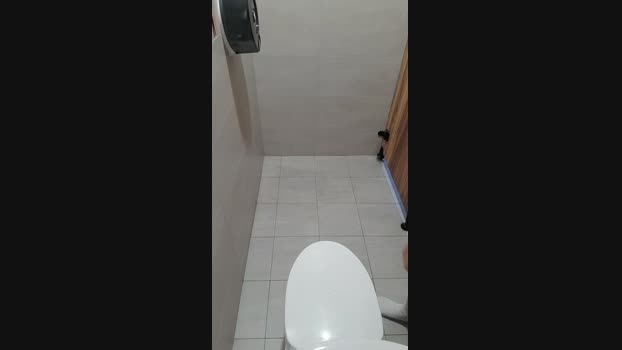 likecamplay 13-02-2025 Recorded Video sex