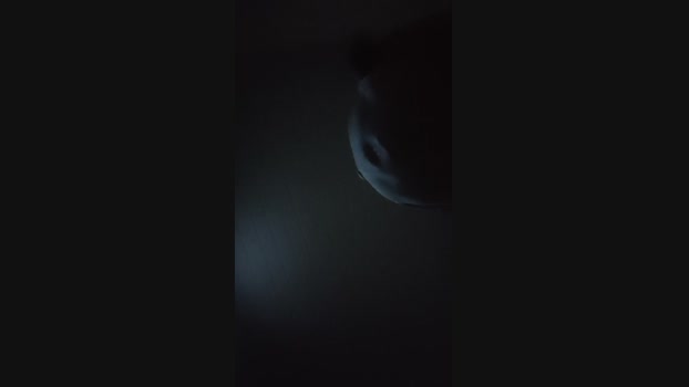 Fetichistahard 15-02-2025 Recorded Video natural