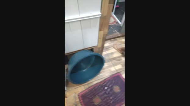 Fetichistahard 15-02-2025 Recorded Video legs