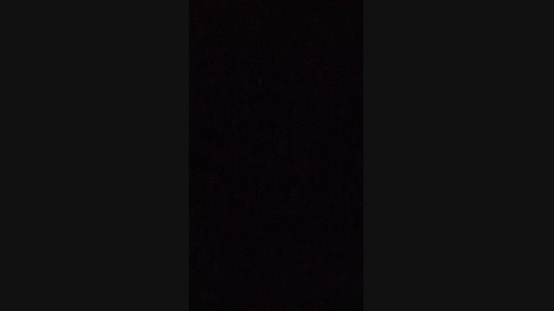 Mobyo2 15-02-2025 Recorded Video cute