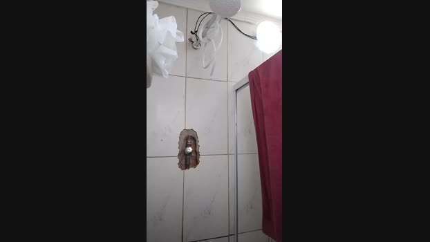 SafadoG_ 14-02-2025 Recorded Video bigcock