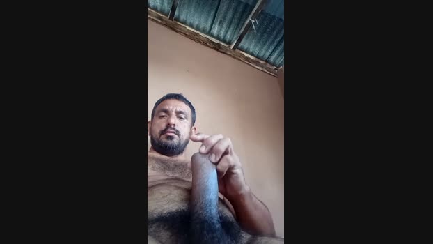 macar4 14-02-2025 Recorded Video Ass