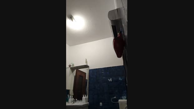 michaelgrandi23 14-02-2025 Recorded Video legs