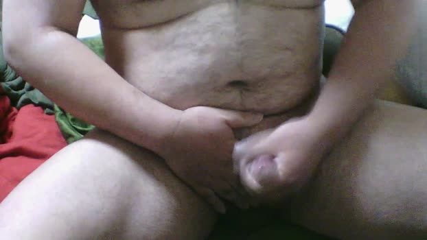 sai20 15-02-2025 Recorded Video big