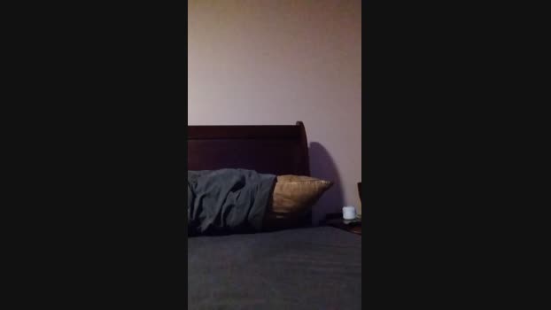 Jt14 16-02-2025 Recorded Video bigload