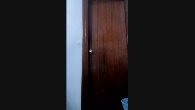 Sevillano_41 16-02-2025 Recorded Video toys