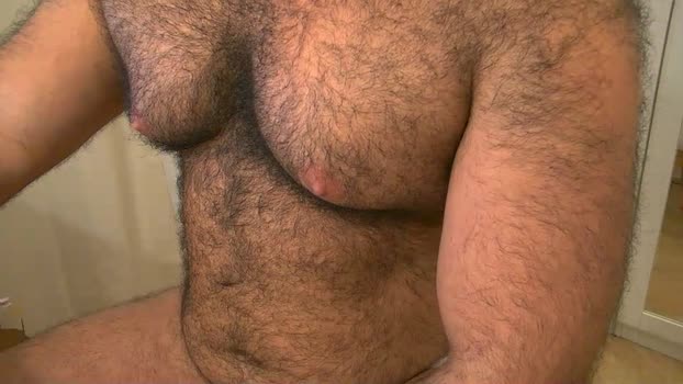 bearhairs 15-02-2025 Recorded Video strip