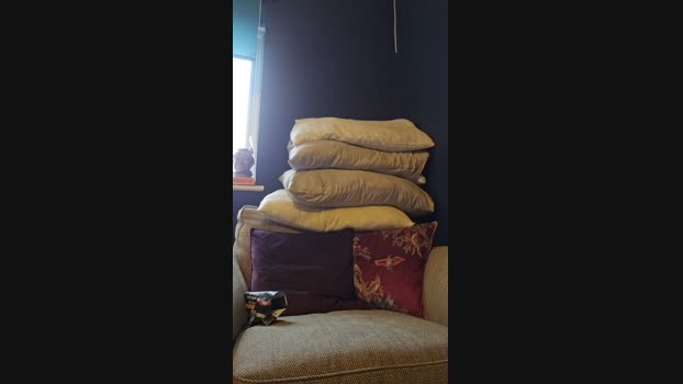 hunghairy_xxx 15-02-2025 Recorded Video horny
