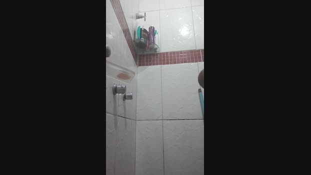 paulinhossa1 16-02-2025 Recorded Video ass