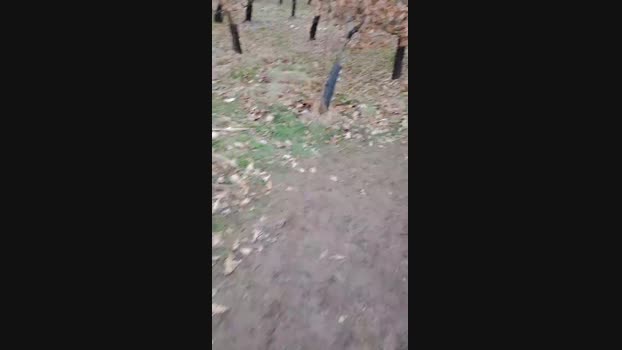 slipfun_sexy 15-02-2025 Recorded Video juicy