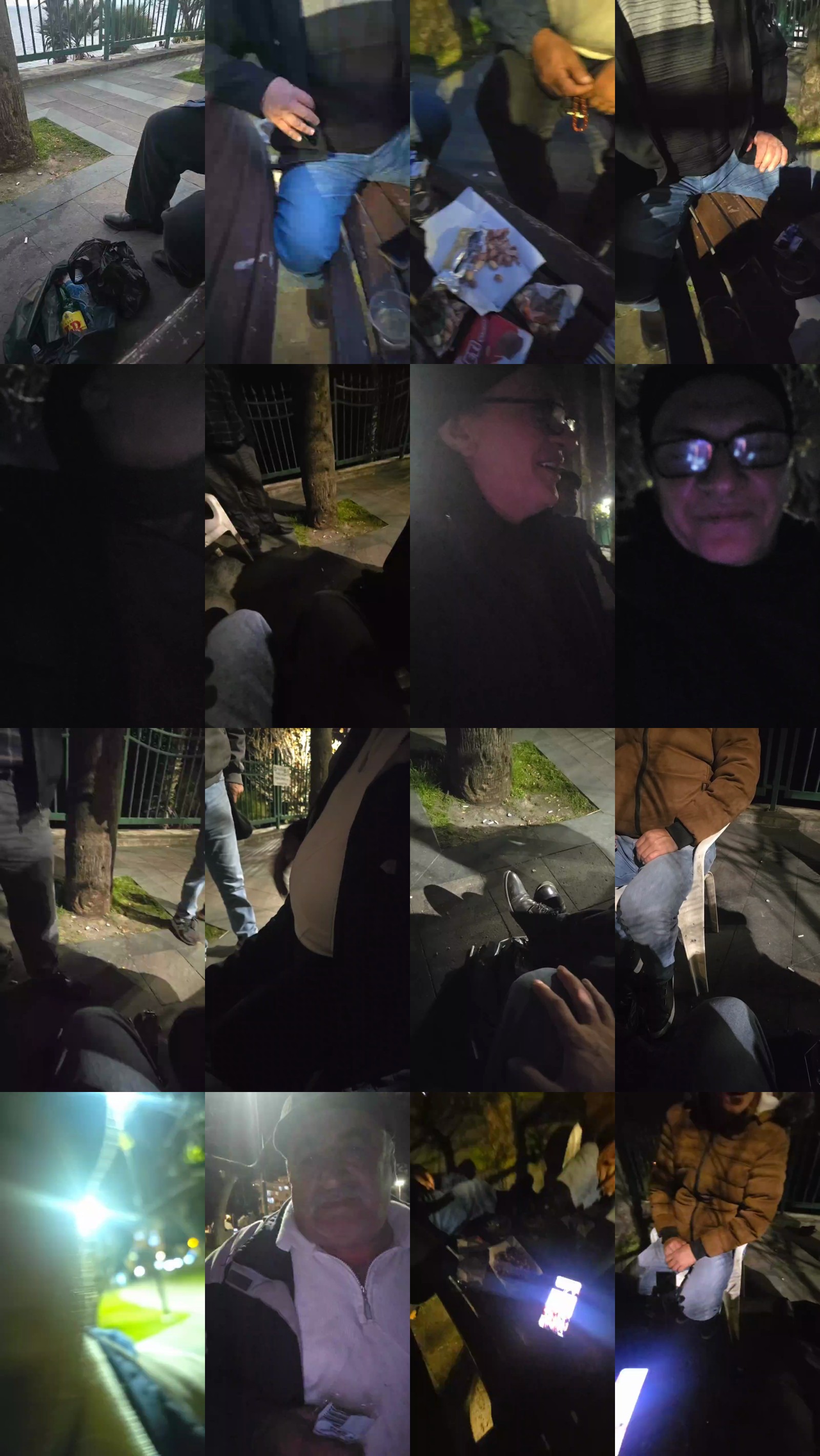 pollen_07 16-02-2025 Recorded Video moan