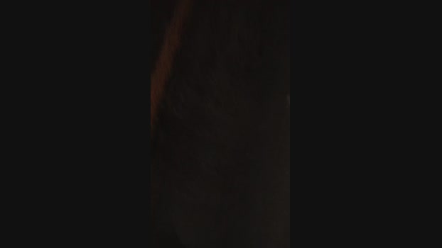 PrincePrincipe 18-02-2025 Recorded Video bj-dildo