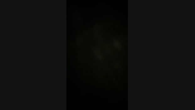 itsup4 18-02-2025 Recorded Video legs