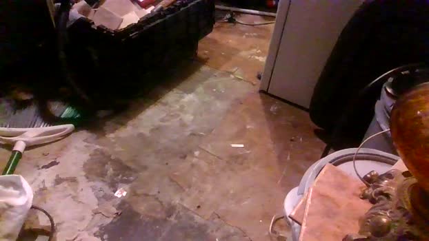 thompson3 18-02-2025 Recorded Video sexymale