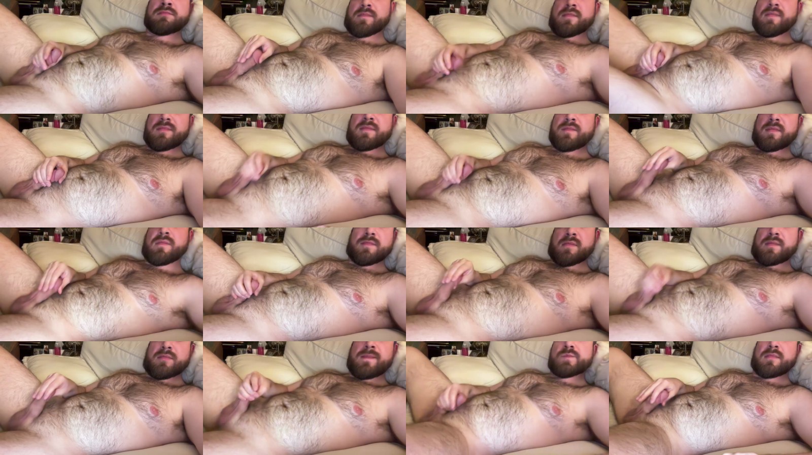 tui4012 17-02-2025 Recorded Video Webcam