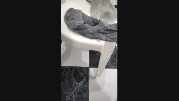 Fetichistahard 19-02-2025 Recorded Video sexykitty
