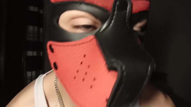 Frabroker 19-02-2025 Recorded Video Cam