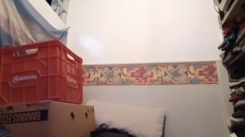 Lemon_criptohot 19-02-2025 Recorded Video bj-dildo