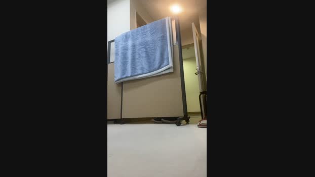 dastbz1 19-02-2025 Recorded Video striptease