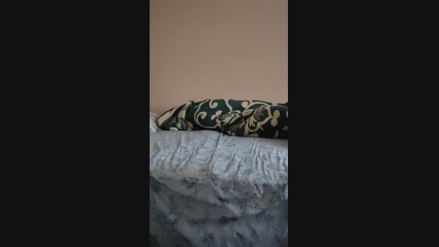 muscularbigcock 19-02-2025 Recorded Video jerkoff