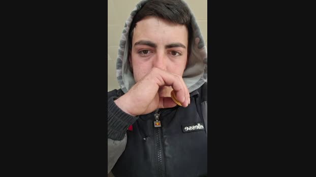 _penesote 19-02-2025 Recorded Video analtoy
