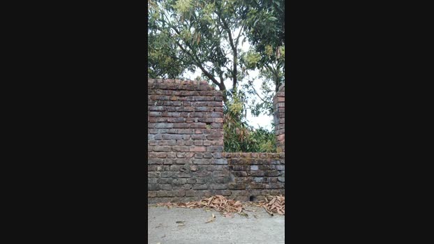 chiranjitho1 20-02-2025 Recorded Video strip