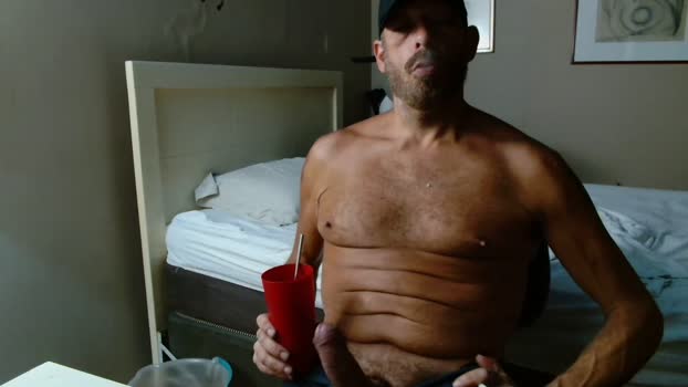 BETOALPH4 21-02-2025 Recorded Video twink