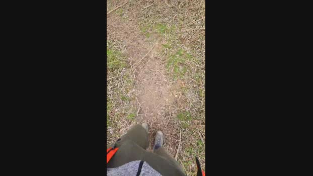 monsterlover 21-02-2025 Recorded Video hot