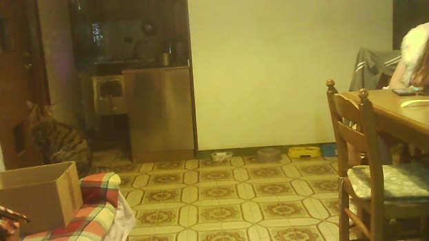 ragazzoporco83 21-02-2025 Recorded Video ass