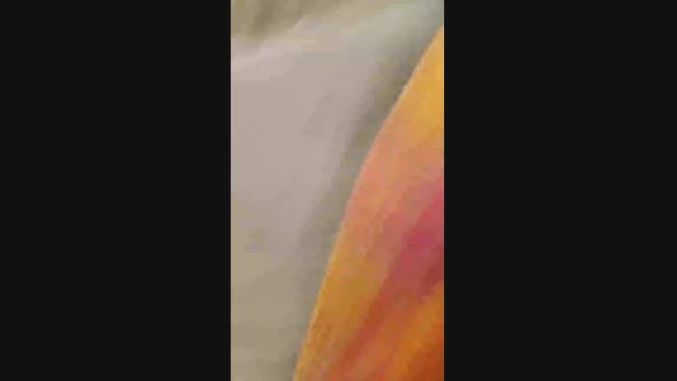Beardedveteran 22-02-2025 Recorded Video wank