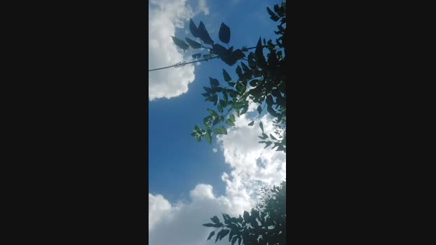 Tabi777 21-02-2025 Recorded Video Video