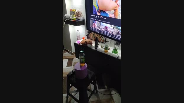 jhosbel2019 23-02-2025 Recorded Video bigload