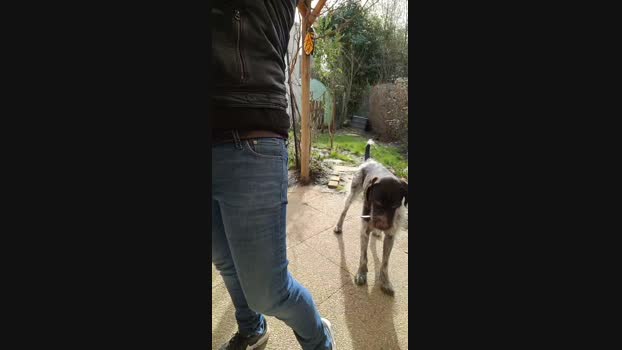 tomsauwer 23-02-2025 Recorded Video fuck