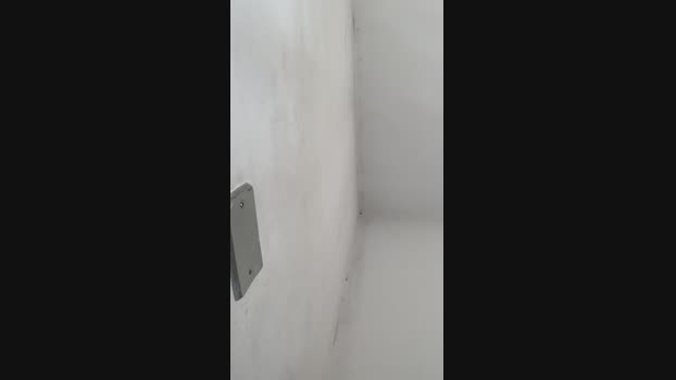 TF20cm 24-02-2025 Recorded Video juicy