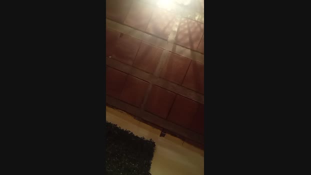 TheCheffsito 24-02-2025 Recorded Video gag