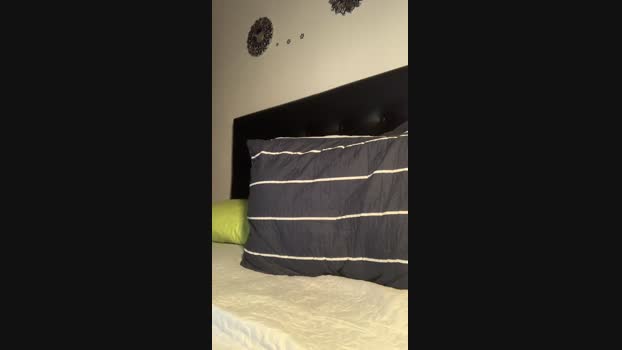 gatoloco27 24-02-2025 Recorded Video bicurious