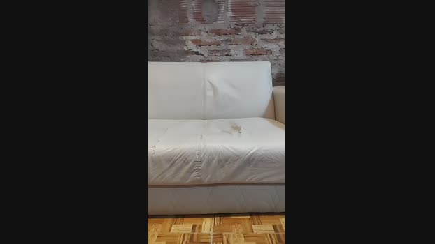 oscar39201 25-02-2025 Recorded Video lovense