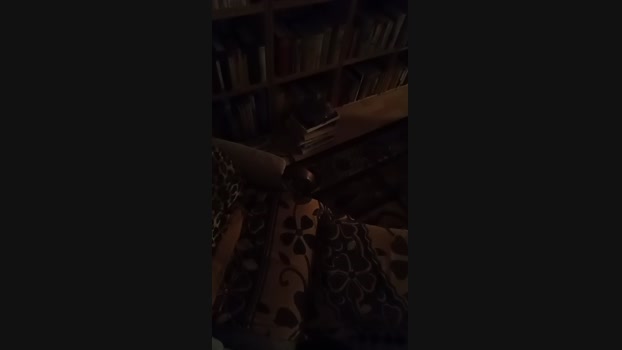 weed_whacker 24-02-2025 Recorded Video nasty