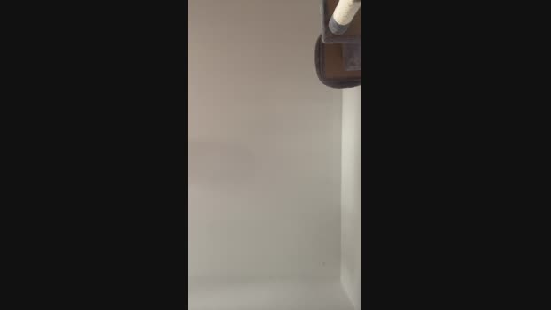 Mannfredfick 27-02-2025 Recorded Video hard