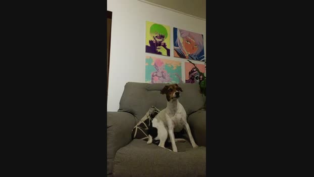 VecinoChileno 27-02-2025 Recorded Video juicy