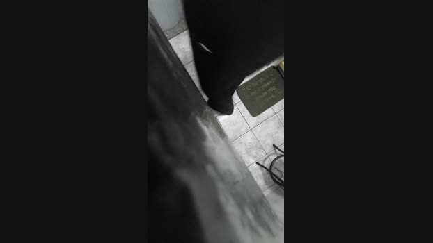souzakw2 27-02-2025 Recorded Video suckcock