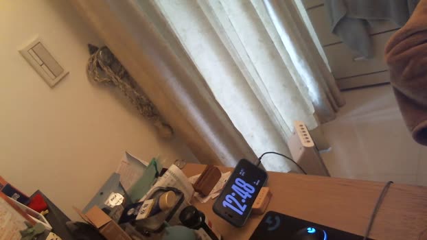 su3g4xm4t86 26-02-2025 Recorded Video squirt
