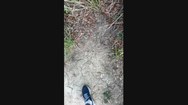w8181w 27-02-2025 Recorded Video moan